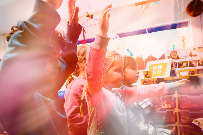 zangexpress cjwbullee 6 lr